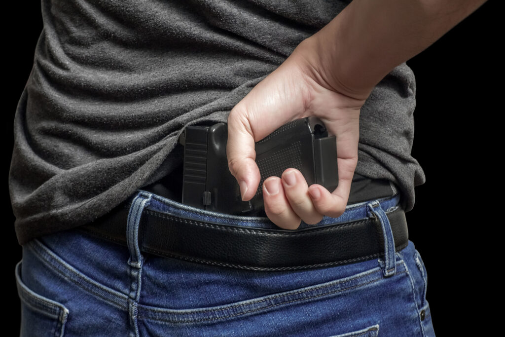 Armed Defense Online CCW Permit Course Los Angeles 2
