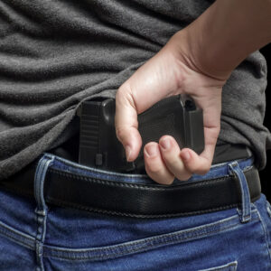 Armed Defense Online CCW Permit Course Los Angeles 2